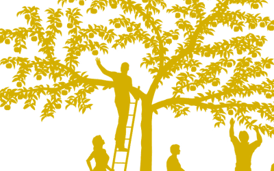 Consejos al hijo adolescente