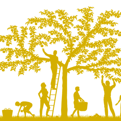 consejos-hijo-adolescente